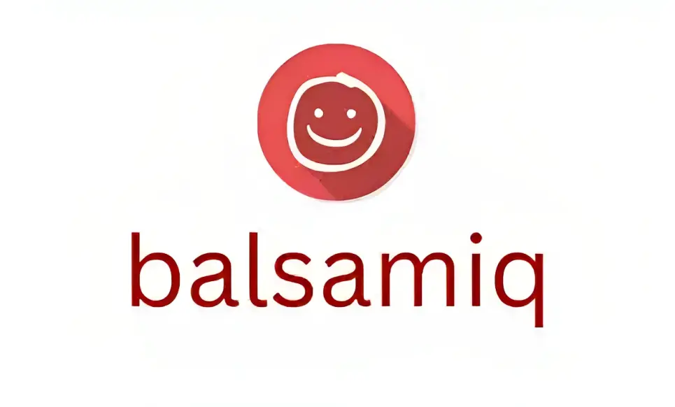 balsamiq mockup - Website, Software Designer